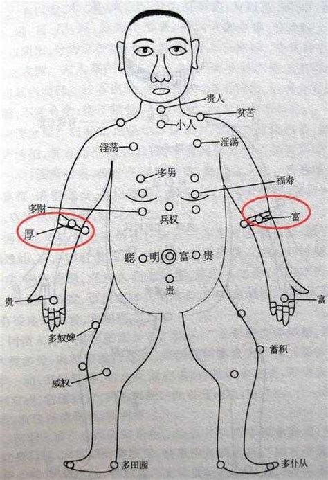 肚臍下有痣|痣与命运的关系之腹部痣相图解大全